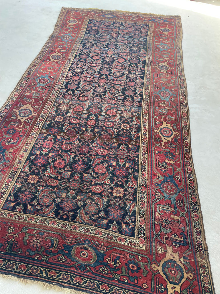 SOLD |  ORGANIC Mystical Halvai Bidjar GEM | Wide Runner with Indigo, Camel, Rust, Purple, Green | 5.3 x 10.7
