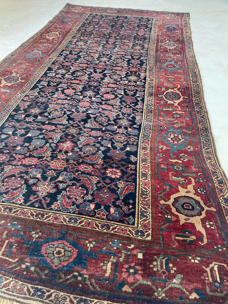 SOLD |  ORGANIC Mystical Halvai Bidjar GEM | Wide Runner with Indigo, Camel, Rust, Purple, Green | 5.3 x 10.7