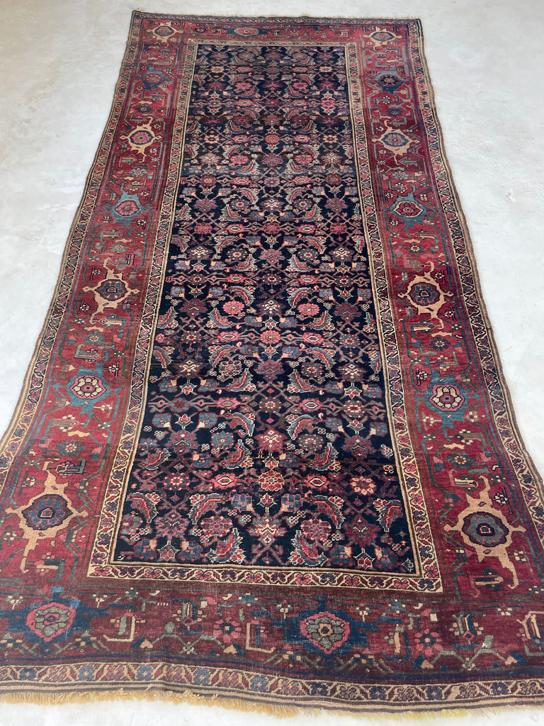 SOLD |  ORGANIC Mystical Halvai Bidjar GEM | Wide Runner with Indigo, Camel, Rust, Purple, Green | 5.3 x 10.7