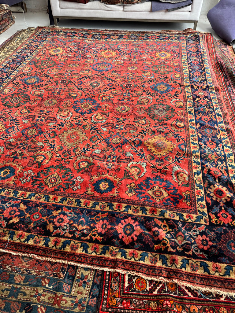 Coming Soon... DEEP Coral Watermelon Super Fine Antique Mahal | Aubergine, Lime Green, Camel, More | 9 x 12.2