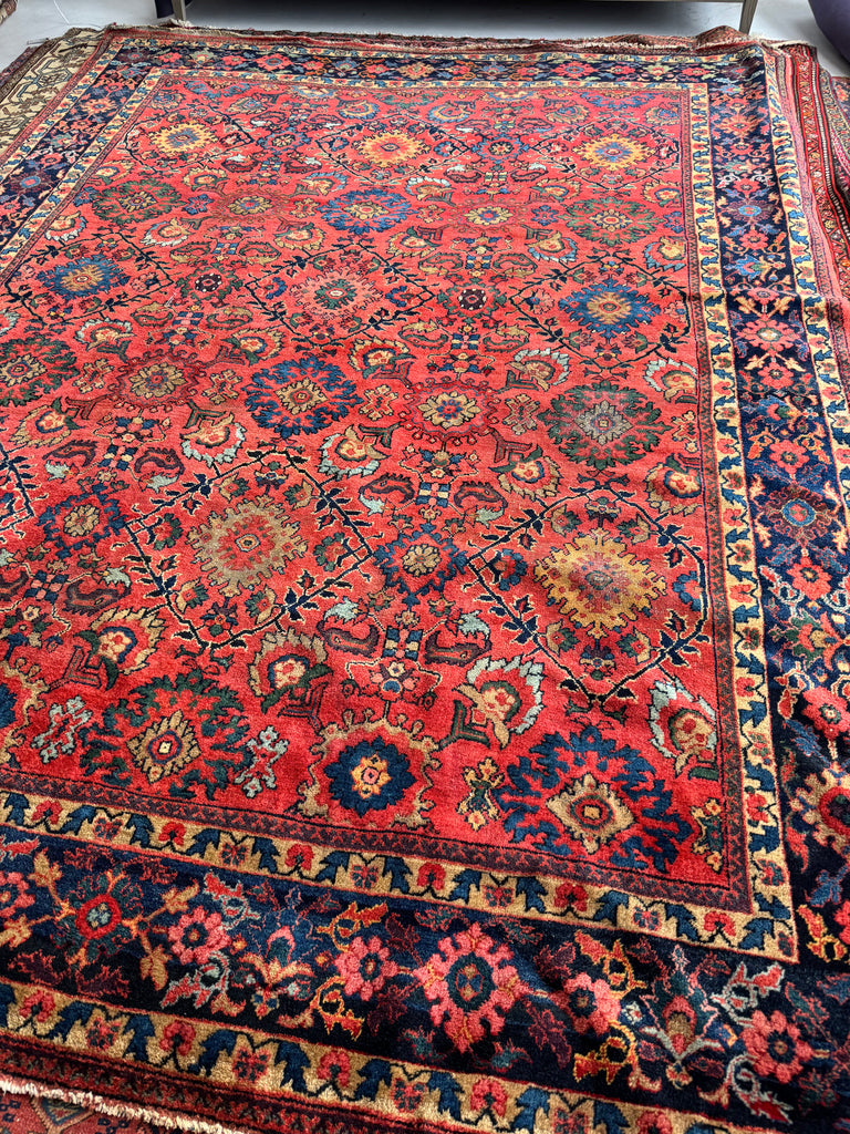 Coming Soon... DEEP Coral Watermelon Super Fine Antique Mahal | Aubergine, Lime Green, Camel, More | 9 x 12.2