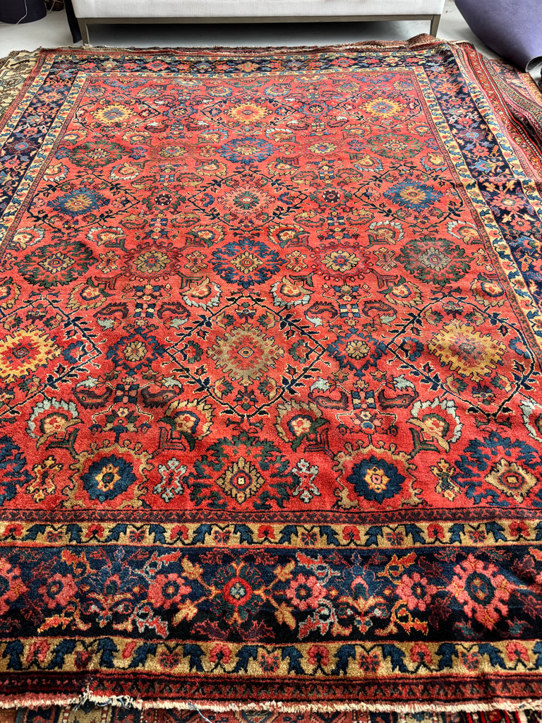 Coming Soon... DEEP Coral Watermelon Super Fine Antique Mahal | Aubergine, Lime Green, Camel, More | 9 x 12.2
