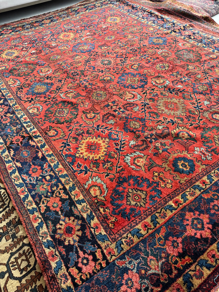 Coming Soon... DEEP Coral Watermelon Super Fine Antique Mahal | Aubergine, Lime Green, Camel, More | 9 x 12.2