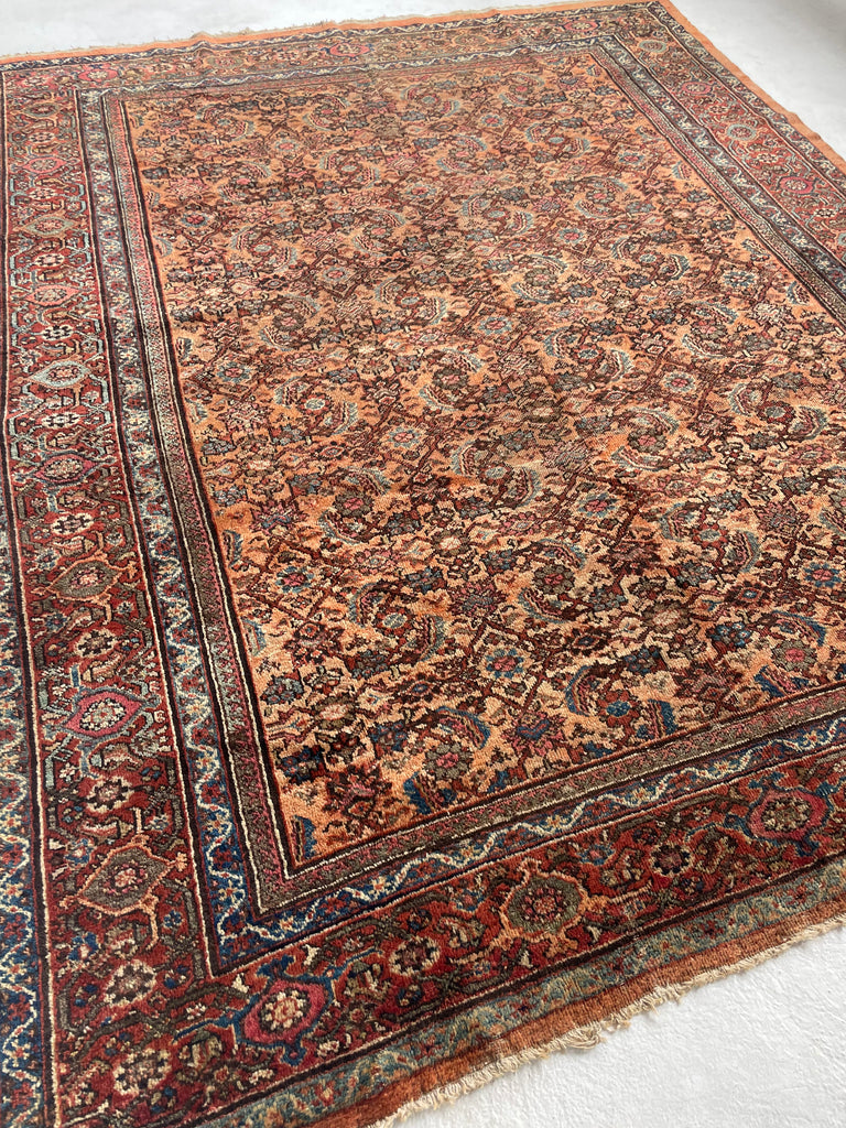 RESERVED FOR PHOTOSHOOT*** BEAUTIFUL Apricot & Ice Blue Antique Mahal | Unique Color with Nice Plush Wool | 8 x 10