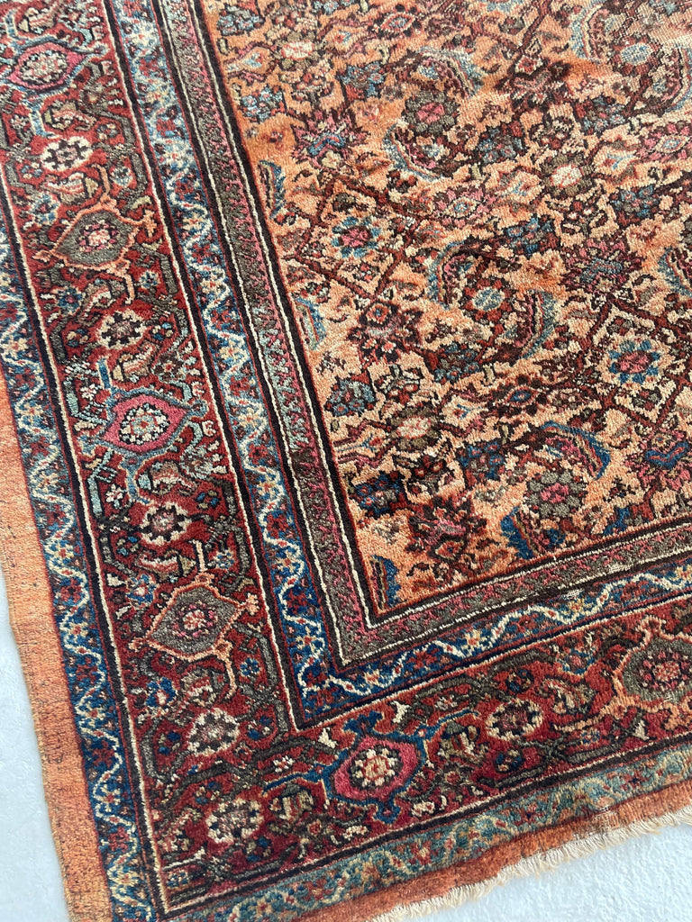 RESERVED FOR PHOTOSHOOT*** BEAUTIFUL Apricot & Ice Blue Antique Mahal | Unique Color with Nice Plush Wool | 8 x 10