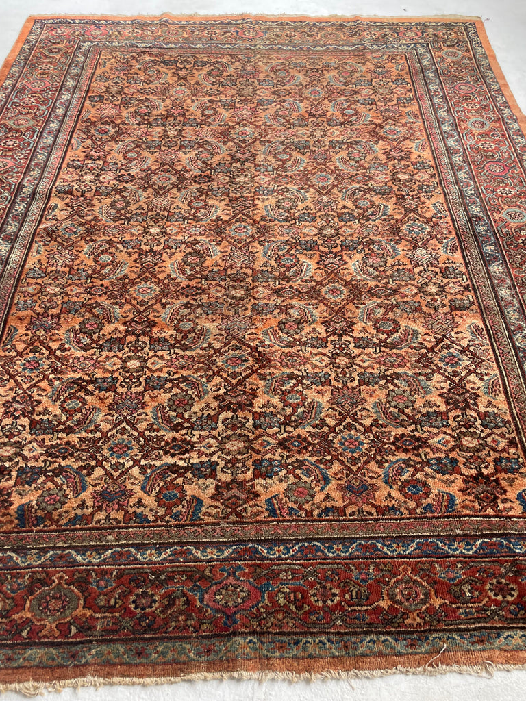 RESERVED FOR PHOTOSHOOT*** BEAUTIFUL Apricot & Ice Blue Antique Mahal | Unique Color with Nice Plush Wool | 8 x 10