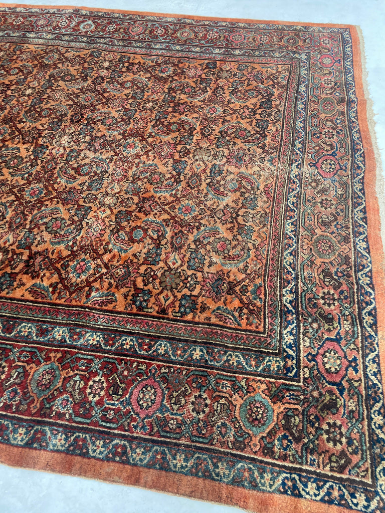 RESERVED FOR PHOTOSHOOT*** BEAUTIFUL Apricot & Ice Blue Antique Mahal | Unique Color with Nice Plush Wool | 8 x 10