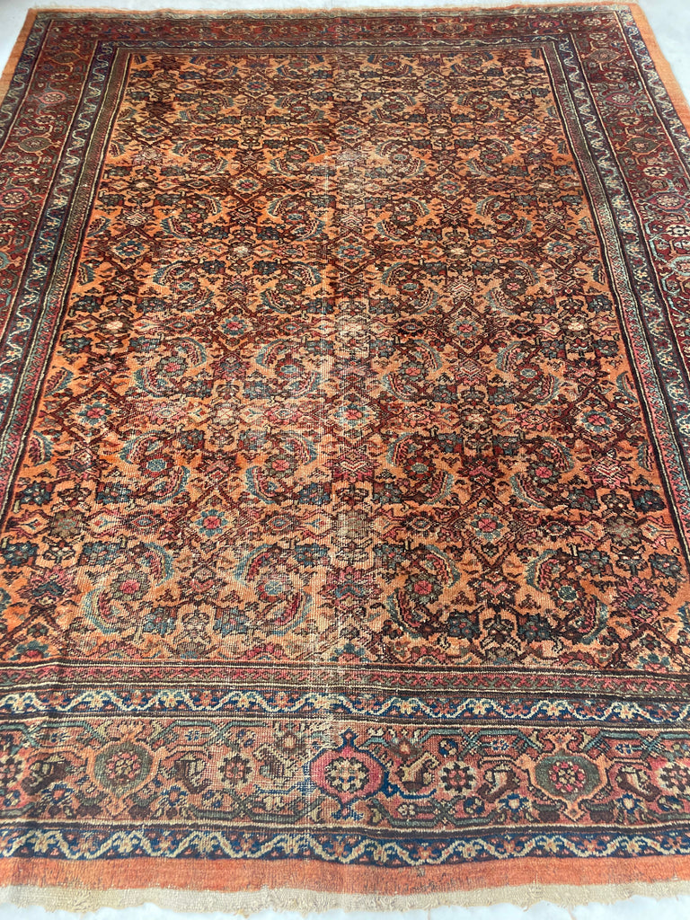 RESERVED FOR PHOTOSHOOT*** BEAUTIFUL Apricot & Ice Blue Antique Mahal | Unique Color with Nice Plush Wool | 8 x 10