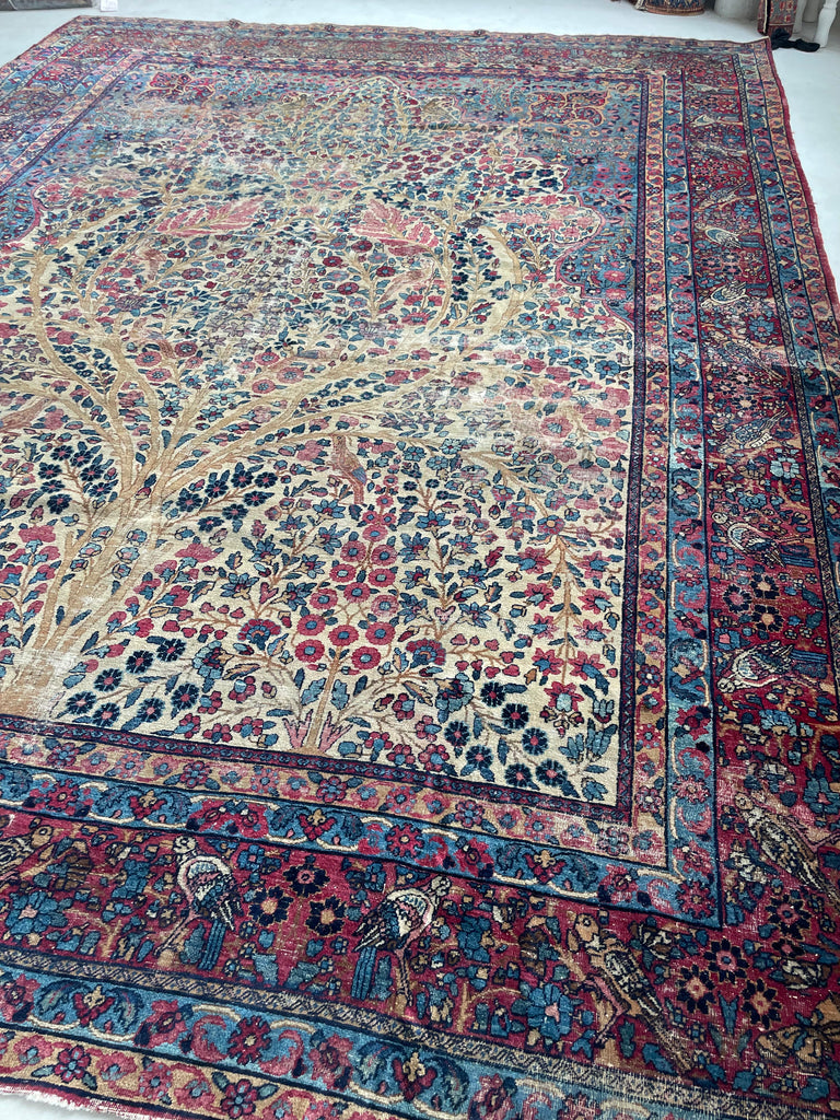 SOLD | TREE OF LIFE with Birds of Paradise  Bird Birder | Antique Kerman Lavar with Incredible Colors | 10.7 x 14