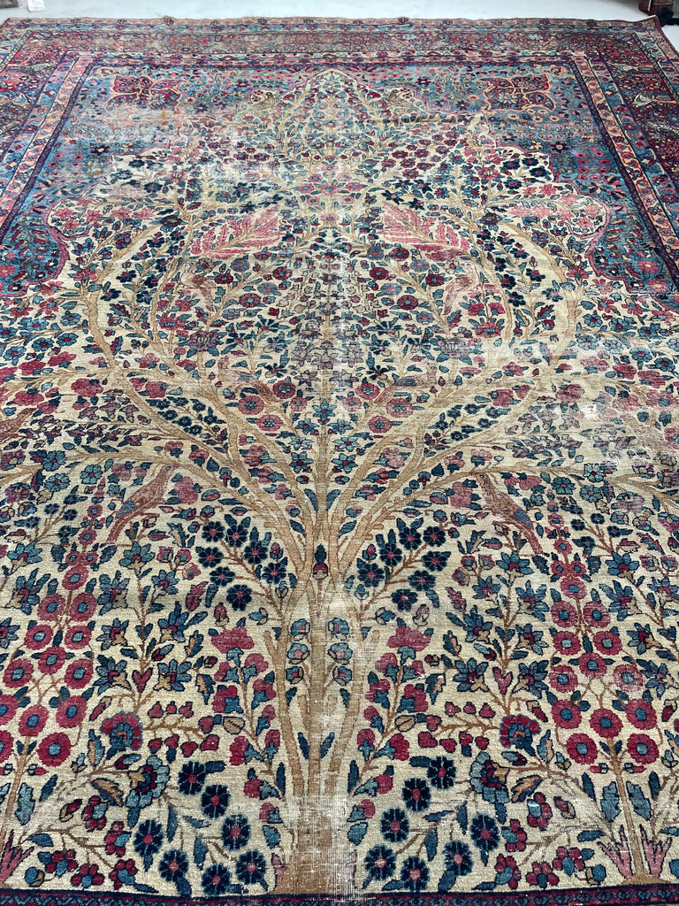 SOLD | TREE OF LIFE with Birds of Paradise  Bird Birder | Antique Kerman Lavar with Incredible Colors | 10.7 x 14