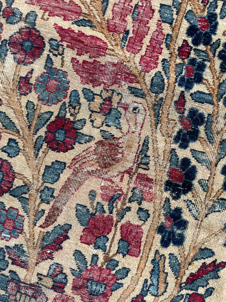SOLD | TREE OF LIFE with Birds of Paradise  Bird Birder | Antique Kerman Lavar with Incredible Colors | 10.7 x 14