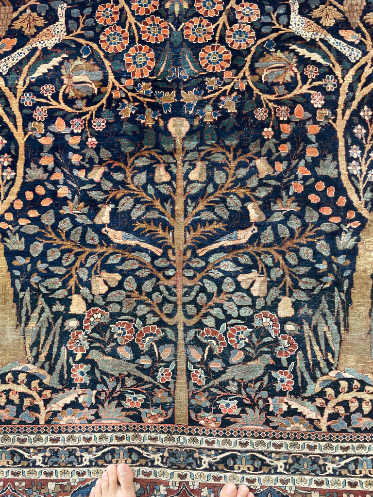 RESERVED FOR KMB DESIGN*** SALVADOR DALI -esk Collector's Antique Persian Kashan with Manchester Wool | Paradise Tree of Life Design with Birds, Grapes & More! Maybe Mohtasham |  10.9 x 15