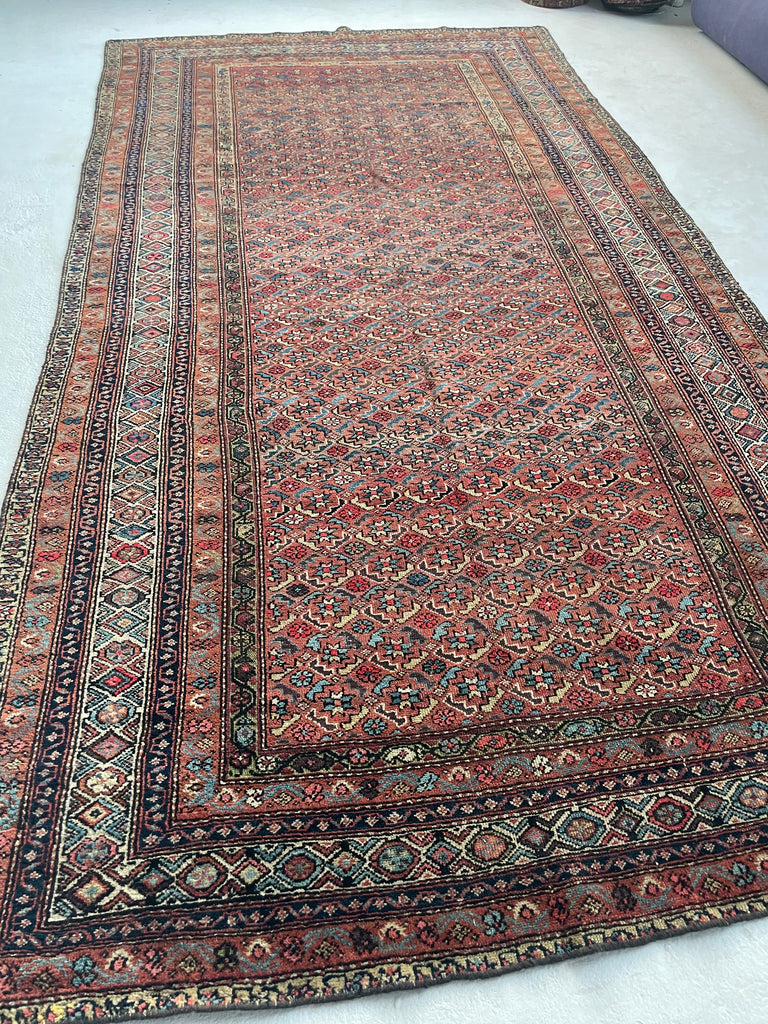 RARE SIZE Kurdish Gallery Runner Carpet  | Terracotta, Clay, Rust, Purple, Green, Blues, Etc |  6.6 x  12.4
