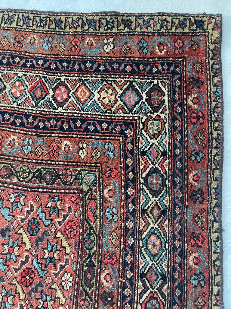 RARE SIZE Kurdish Gallery Runner Carpet  | Terracotta, Clay, Rust, Purple, Green, Blues, Etc |  6.6 x  12.4