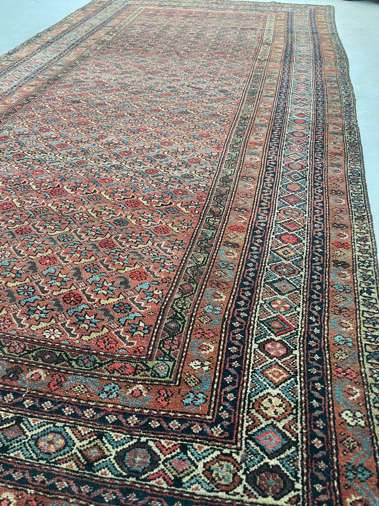 RARE SIZE Kurdish Gallery Runner Carpet  | Terracotta, Clay, Rust, Purple, Green, Blues, Etc |  6.6 x  12.4