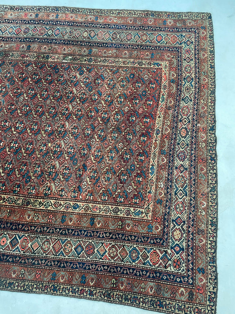 RARE SIZE Kurdish Gallery Runner Carpet  | Terracotta, Clay, Rust, Purple, Green, Blues, Etc |  6.6 x  12.4