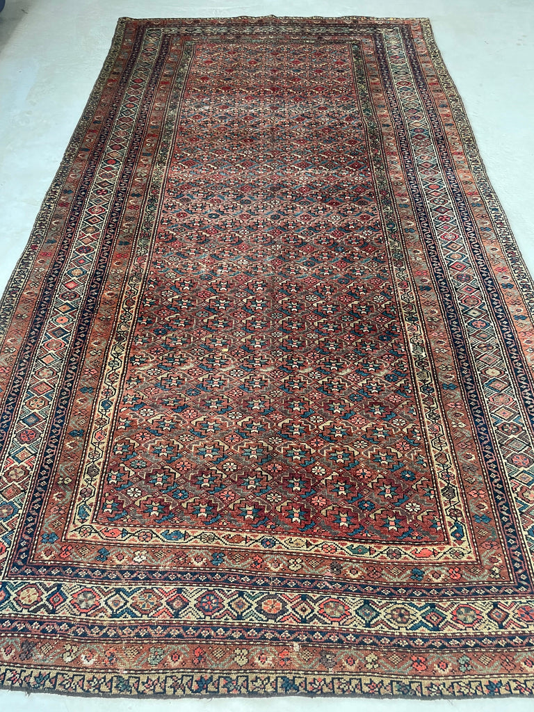 RARE SIZE Kurdish Gallery Runner Carpet  | Terracotta, Clay, Rust, Purple, Green, Blues, Etc |  6.6 x  12.4