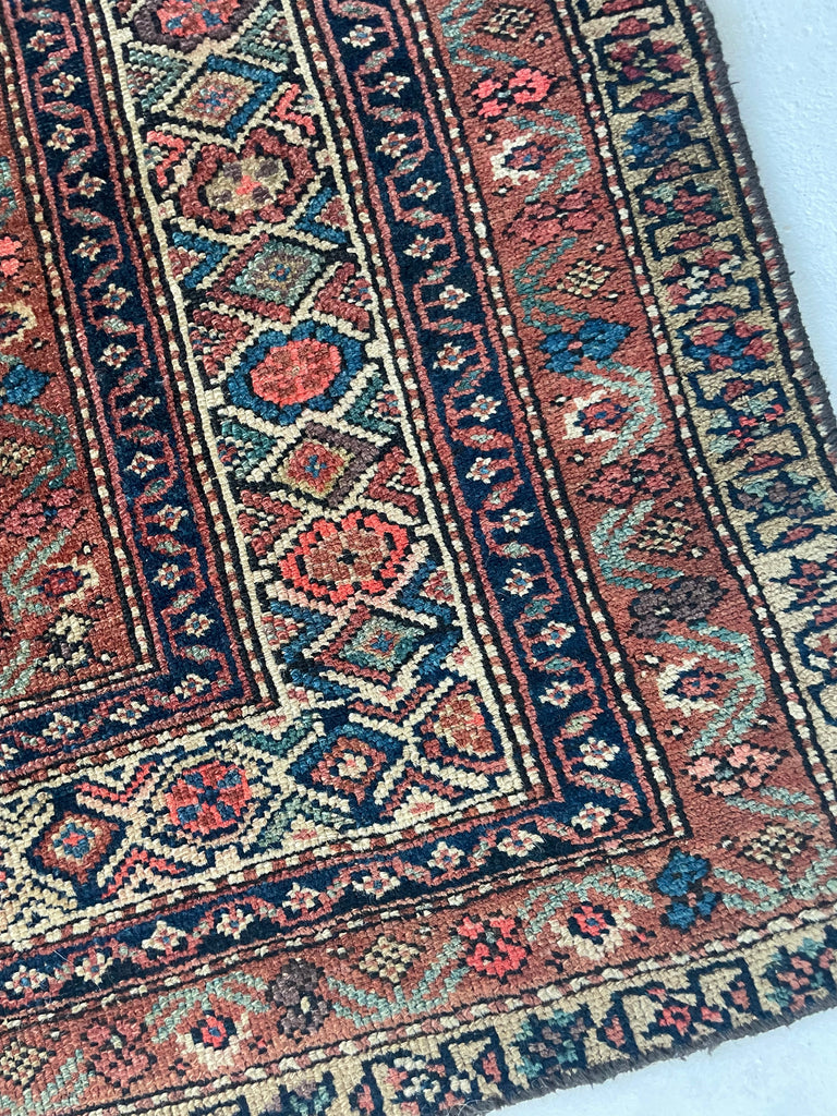 RARE SIZE Kurdish Gallery Runner Carpet  | Terracotta, Clay, Rust, Purple, Green, Blues, Etc |  6.6 x  12.4