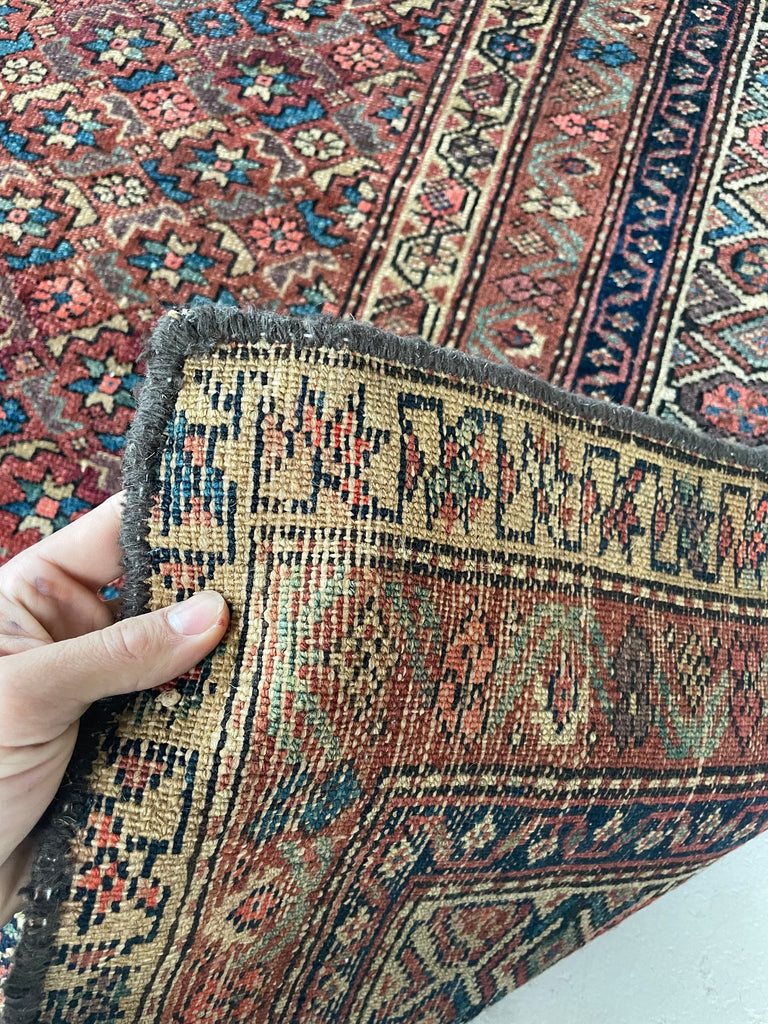 RARE SIZE Kurdish Gallery Runner Carpet  | Terracotta, Clay, Rust, Purple, Green, Blues, Etc |  6.6 x  12.4