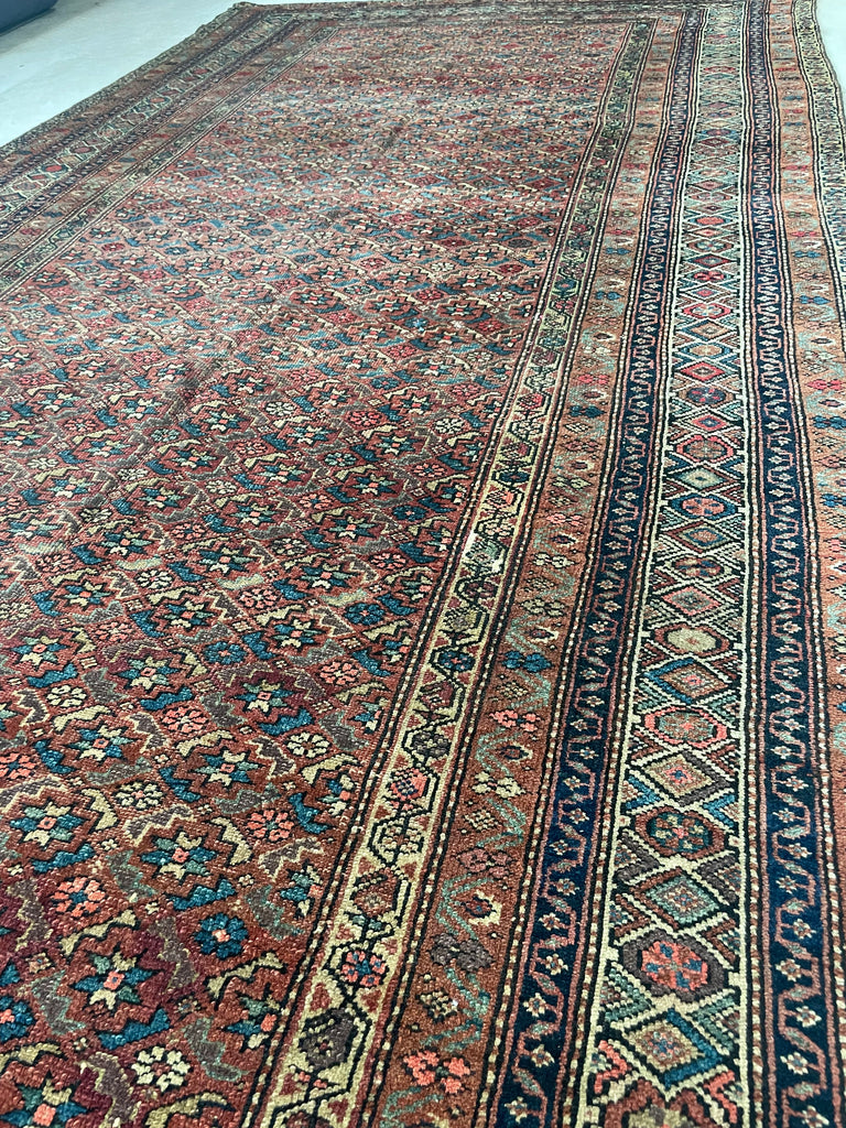 RARE SIZE Kurdish Gallery Runner Carpet  | Terracotta, Clay, Rust, Purple, Green, Blues, Etc |  6.6 x  12.4