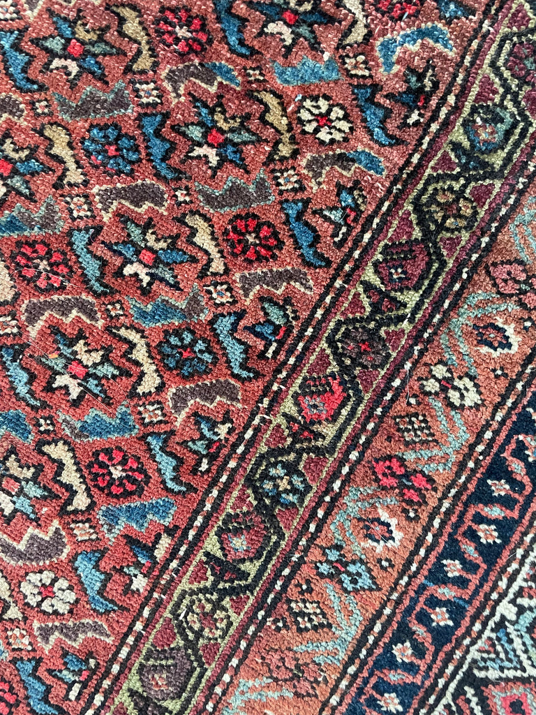 RARE SIZE Kurdish Gallery Runner Carpet  | Terracotta, Clay, Rust, Purple, Green, Blues, Etc |  6.6 x  12.4