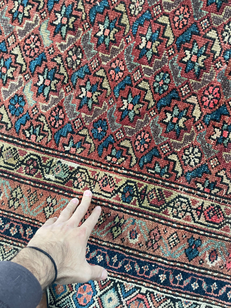 RARE SIZE Kurdish Gallery Runner Carpet  | Terracotta, Clay, Rust, Purple, Green, Blues, Etc |  6.6 x  12.4