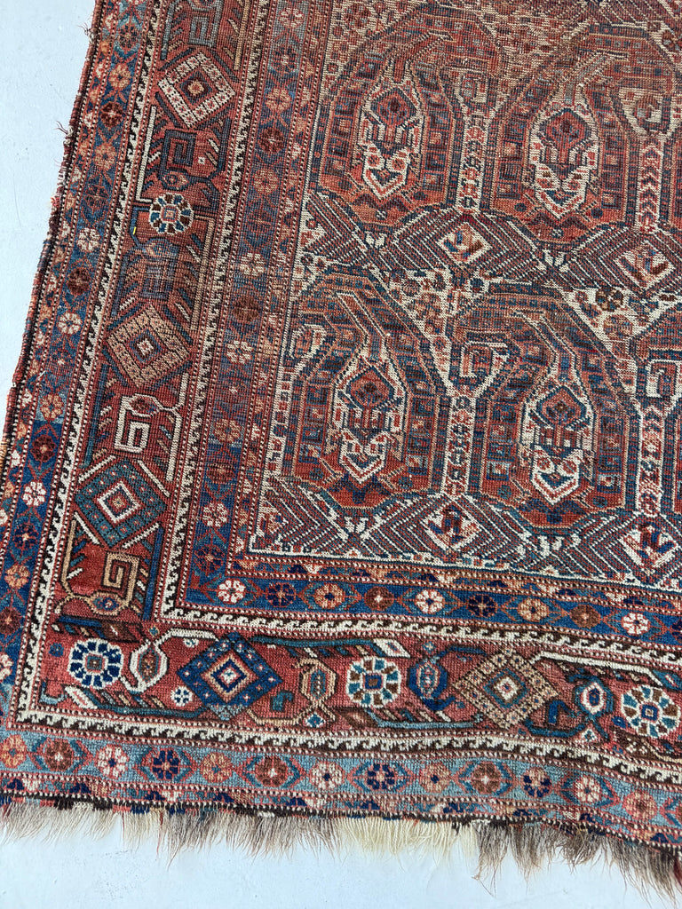 MATRIARCH Weaving | Antique Southwest Khamseh Repeating Circle of Life Boteh Motifs | 4.2 x 6.2