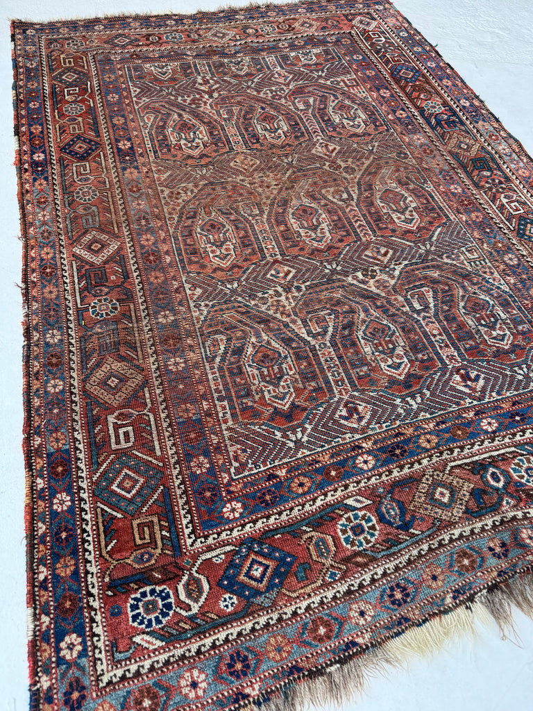 MATRIARCH Weaving | Antique Southwest Khamseh Repeating Circle of Life Boteh Mother-Child Motifs | 4.2 x 6.2