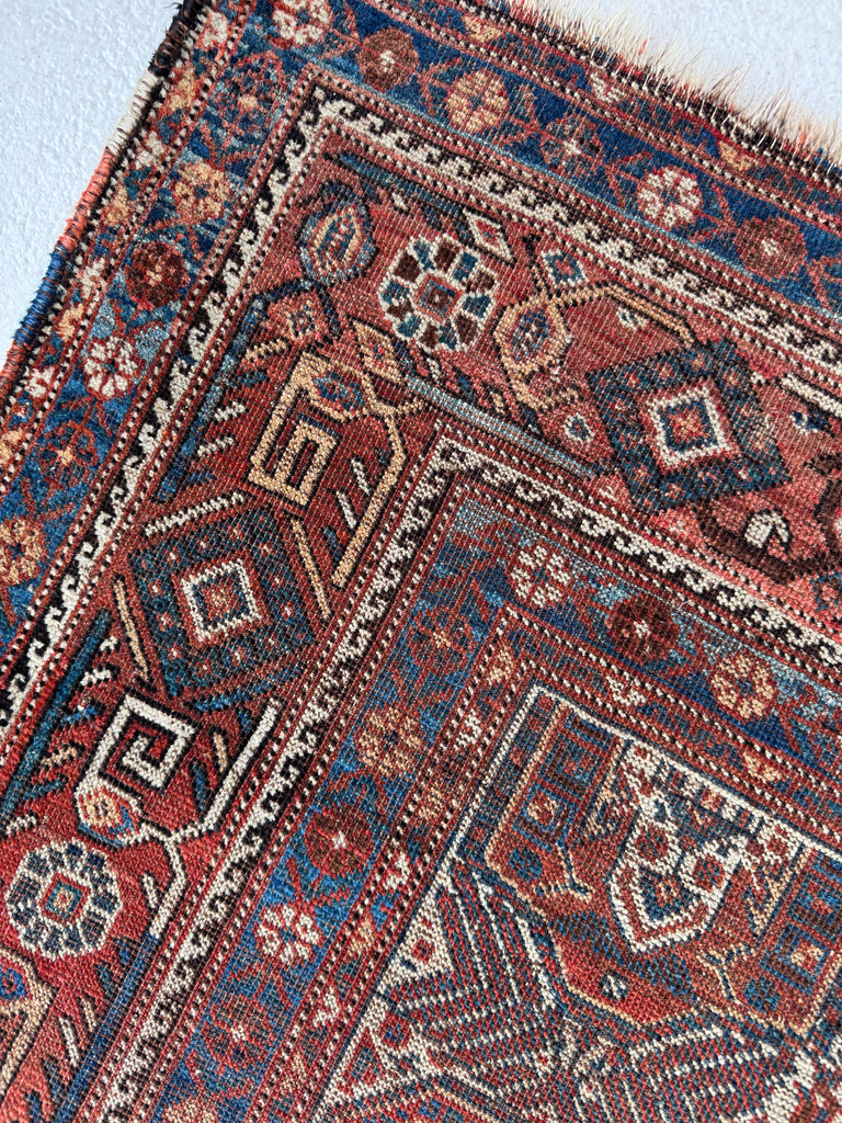 MATRIARCH Weaving | Antique Southwest Khamseh Repeating Circle of Life Boteh Motifs | 4.2 x 6.2