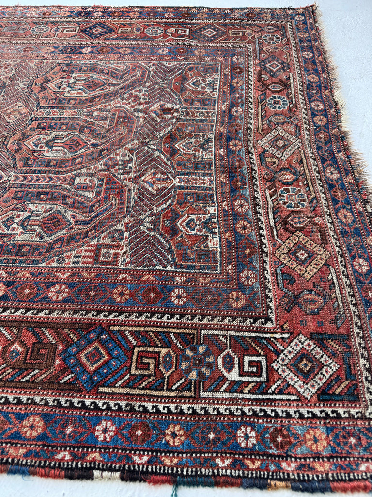 MATRIARCH Weaving | Antique Southwest Khamseh Repeating Circle of Life Boteh Motifs | 4.2 x 6.2