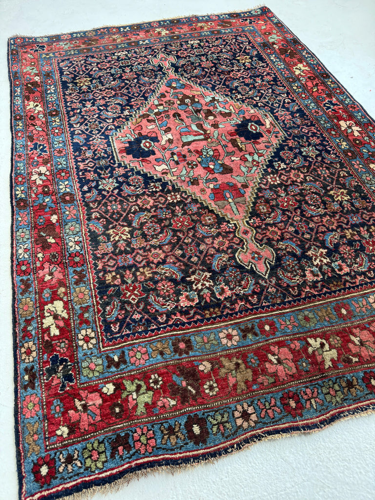 UNIQUE Halvai Bidjar with ASYMMETRICAL Harshang Medallion | Lovely Piece | 3.8 x 5.2