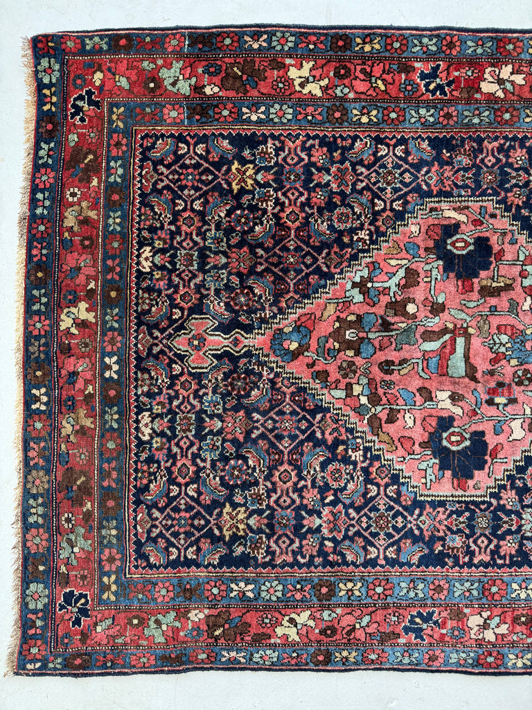 UNIQUE Halvai Bidjar with ASYMMETRICAL Harshang Medallion | Lovely Piece | 3.8 x 5.2
