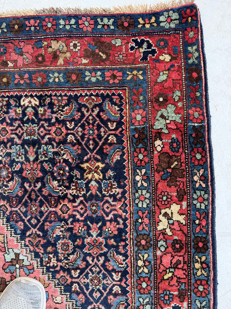 UNIQUE Halvai Bidjar with ASYMMETRICAL Harshang Medallion | Lovely Piece | 3.8 x 5.2