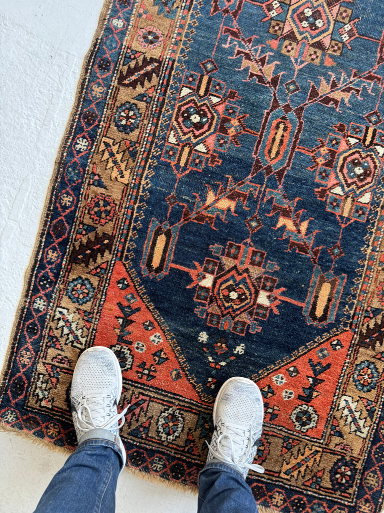 COLLECTOR'S Antique NW Persian Bakshayesh Runner | Camel, Indigo, Coral Wool Foundation | 3.2 x 7.10