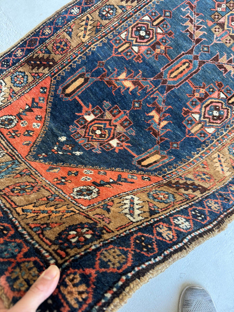 COLLECTOR'S Antique NW Persian Bakshayesh Runner | Camel, Indigo, Coral Wool Foundation | 3.2 x 7.10