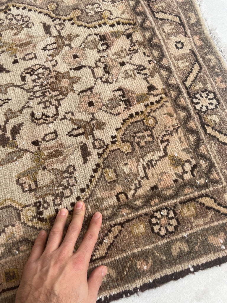 21 FOOT LONG Botanical Beauty! Narrow Stair Runner in Unique Softer Hues | 2.7 x 21.4