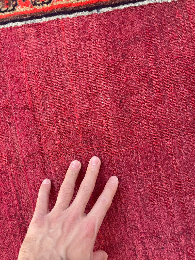 UNREAL PALATIAL ANTIQUE CARPET | Northeast Khorrassan Gem with Smokey Wine, Antique Ruby, Soft-Glacier Blue, Apricot | 13.2 x 15.7