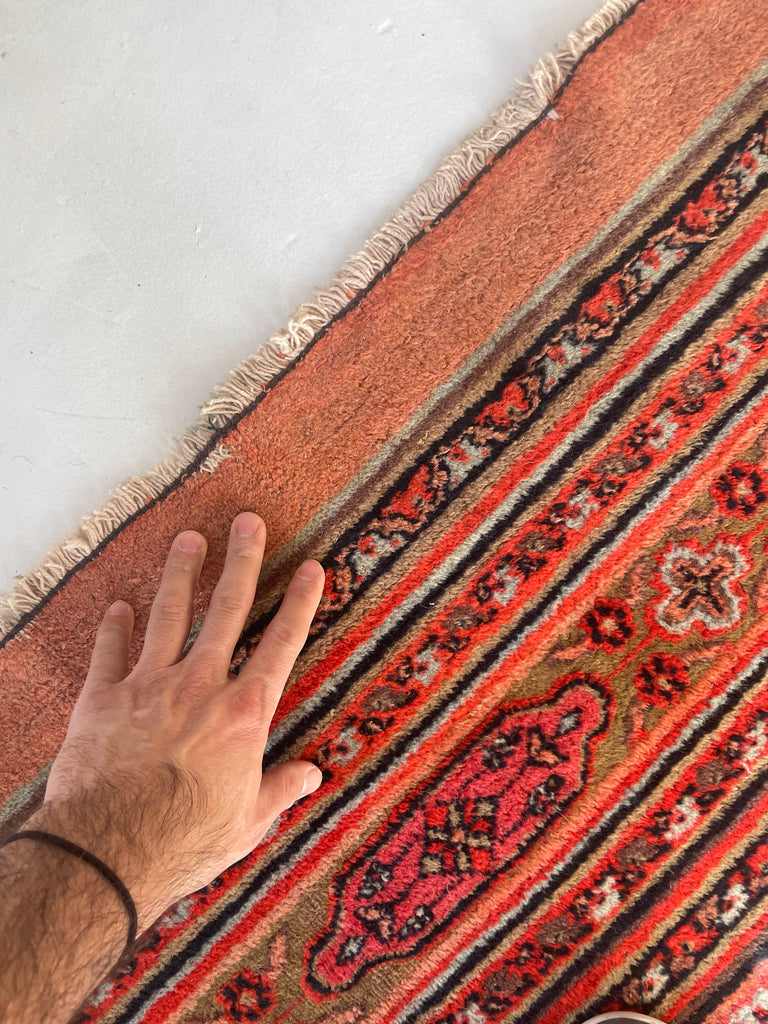 UNREAL PALATIAL ANTIQUE CARPET | Northeast Khorrassan Gem with Smokey Wine, Antique Ruby, Soft-Glacier Blue, Apricot | 13.2 x 15.7