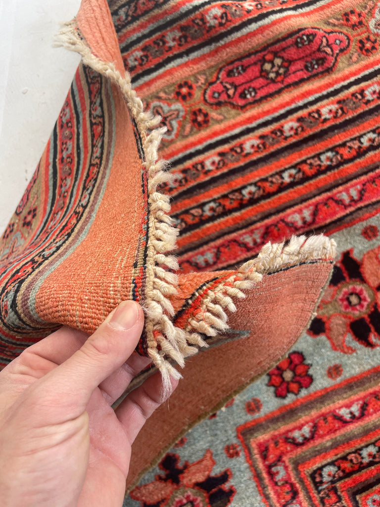 UNREAL PALATIAL ANTIQUE CARPET | Northeast Khorrassan Gem with Smokey Wine, Antique Ruby, Soft-Glacier Blue, Apricot | 13.2 x 15.7