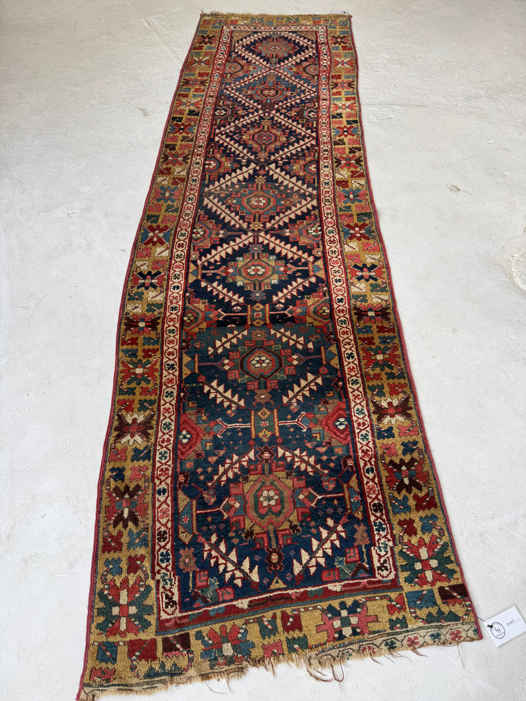 STUNNING Northwest Persian Runner | Exotic Camel Border, Piercing Blues, Greens, More | 3 x 10.2