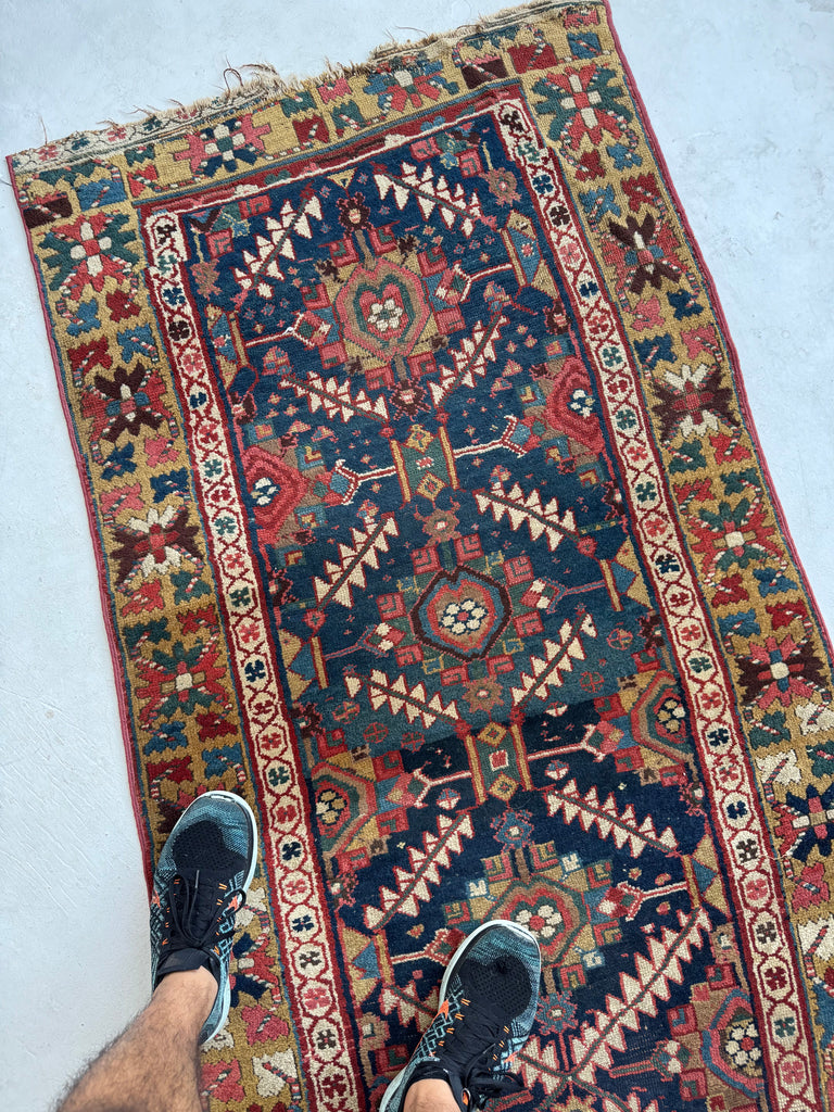 STUNNING Northwest Persian Runner | Exotic Camel Border, Piercing Blues, Greens, More | 3 x 10.2