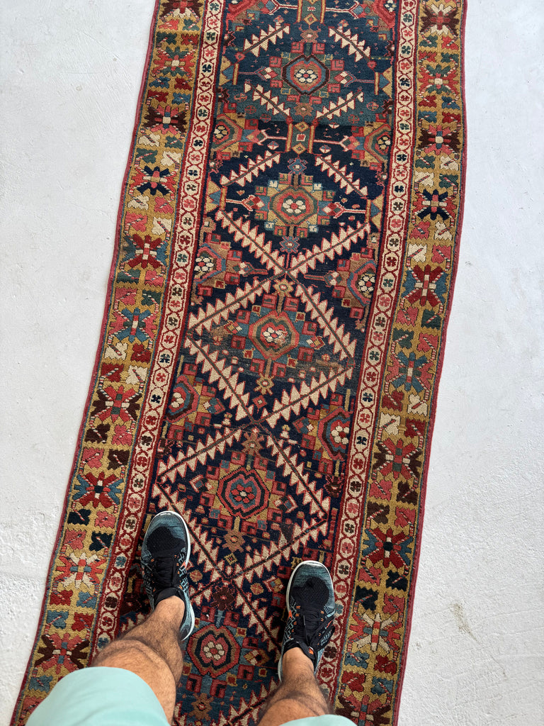 STUNNING Northwest Persian Runner | Exotic Camel Border, Piercing Blues, Greens, More | 3 x 10.2
