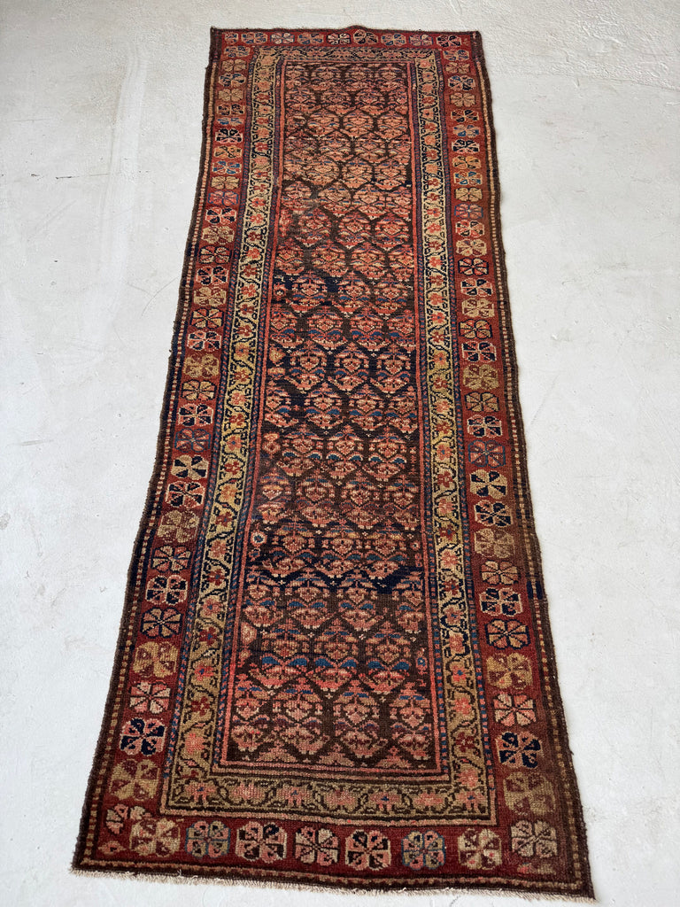 OLD WORLD Boteh Field | Rust, Indigo, Camel, Wheat, Blues in Rare Size | 2.9 x 7.5