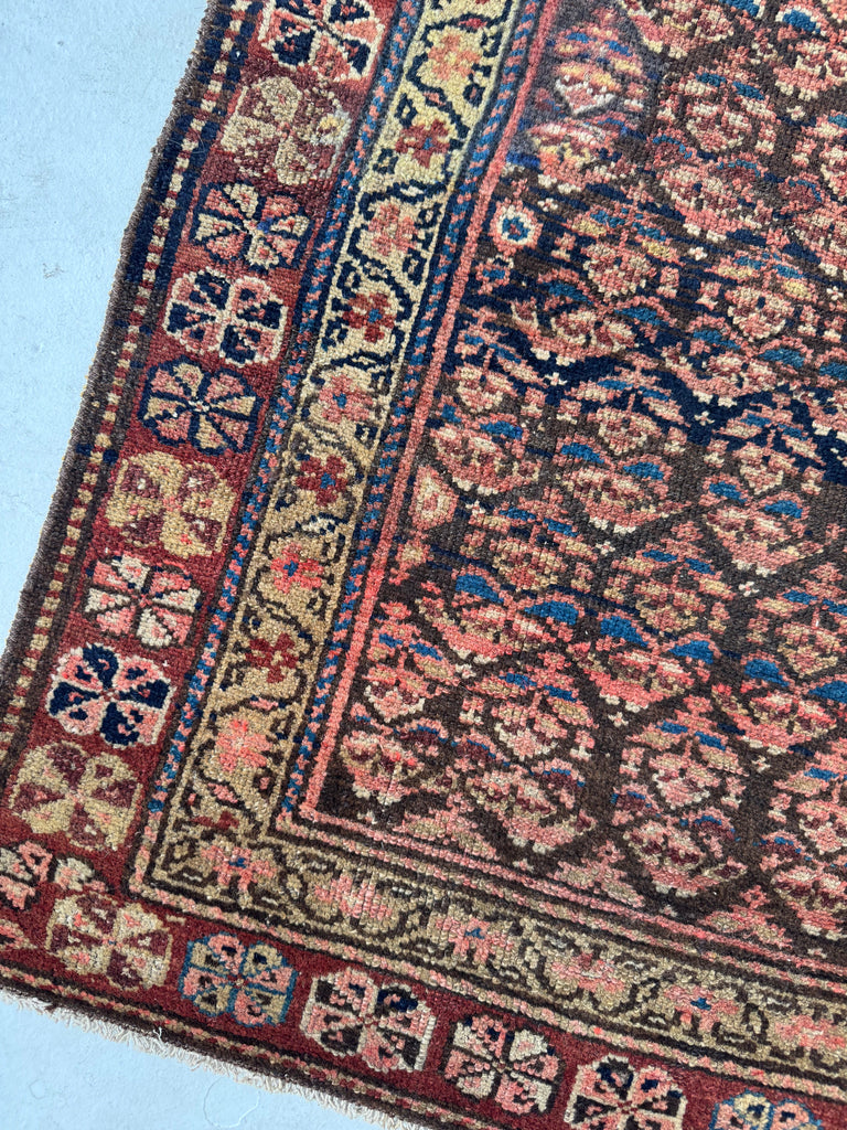 OLD WORLD Boteh Field | Rust, Indigo, Camel, Wheat, Blues in Rare Size | 2.9 x 7.5