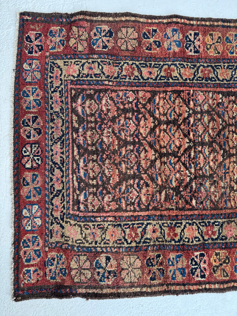 OLD WORLD Boteh Field | Rust, Indigo, Camel, Wheat, Blues in Rare Size | 2.9 x 7.5