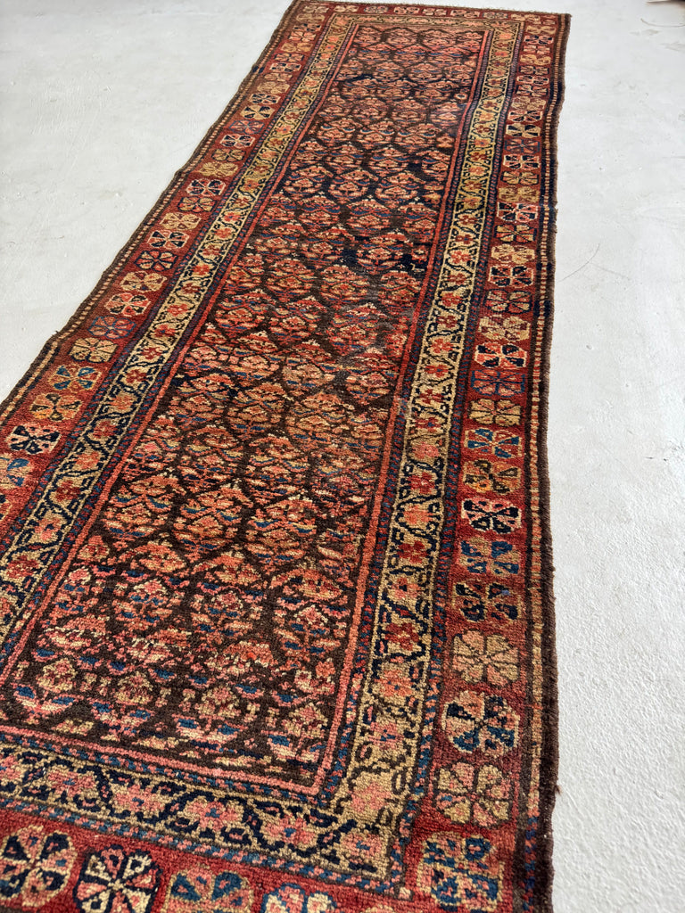 OLD WORLD Boteh Field | Rust, Indigo, Camel, Wheat, Blues in Rare Size | 2.9 x 7.5