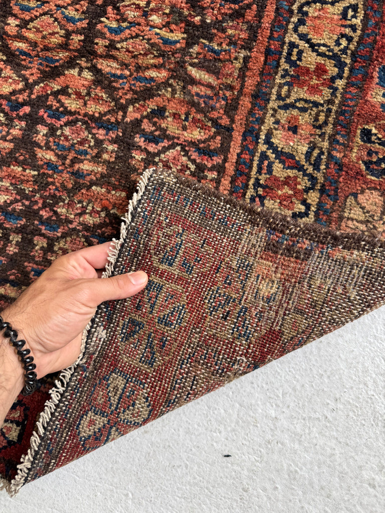 OLD WORLD Boteh Field | Rust, Indigo, Camel, Wheat, Blues in Rare Size | 2.9 x 7.5