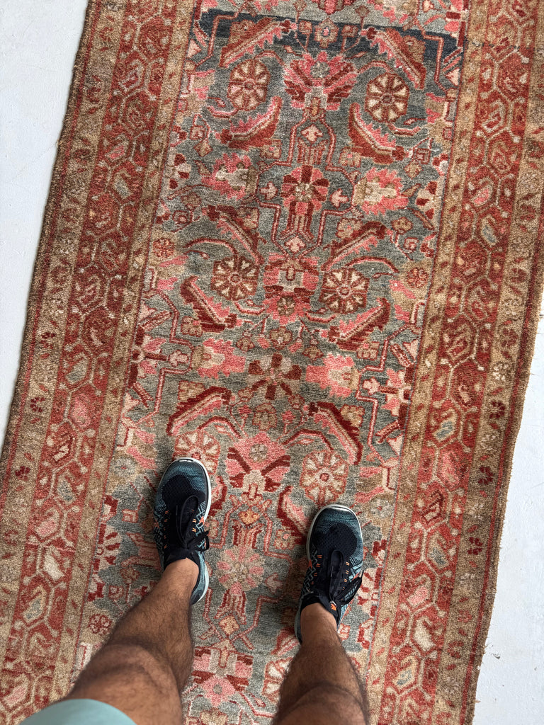 Muted Herati Runner with Slate Blue, Taupe, Rose, Camel, and Rust | Soft Plush Pile | 3.6 x 10