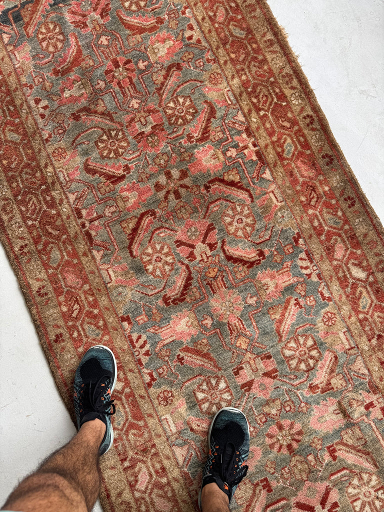 Muted Herati Runner with Slate Blue, Taupe, Rose, Camel, and Rust | Soft Plush Pile | 3.6 x 10