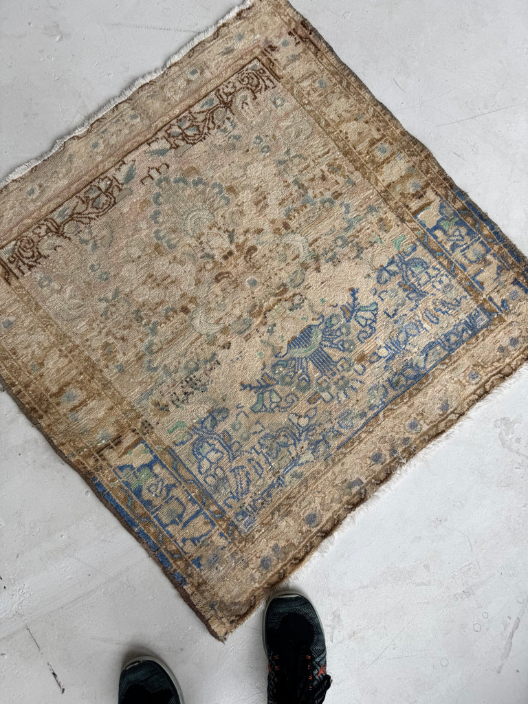 SQUARE Airy Lilihan Hamadan | Beige, Butter, Blue, Rose, Champagne | 3.2 x 3.3